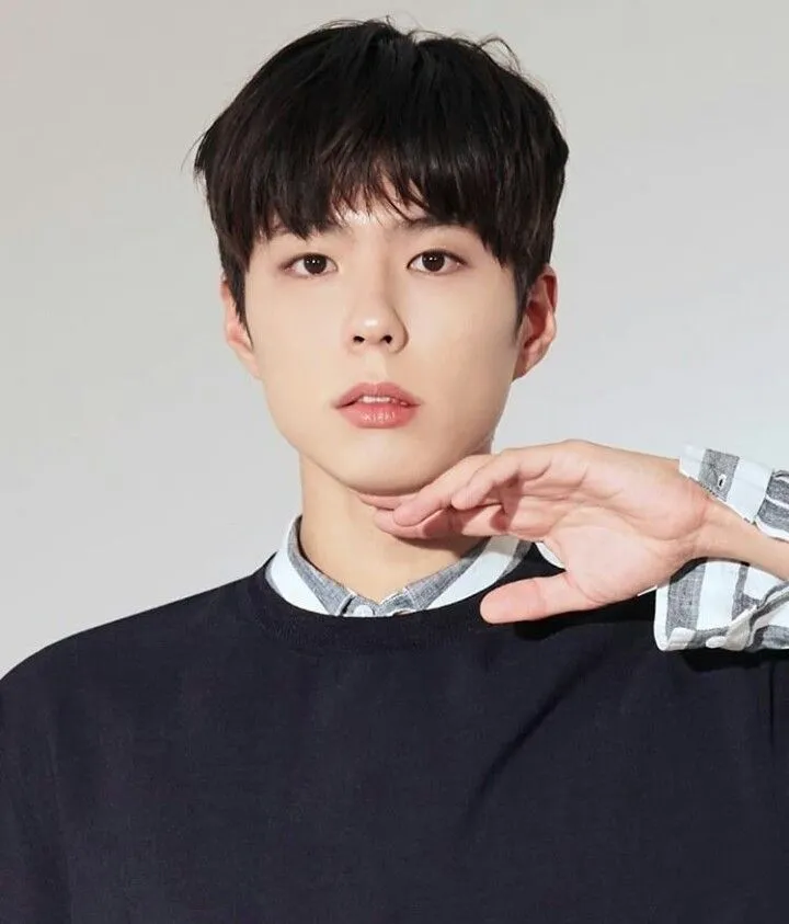 박보검