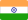 IN flag